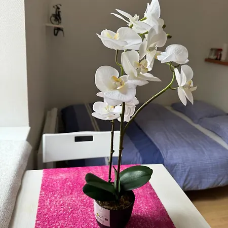Apartment Studio, Hyper Centre La Rochelle
