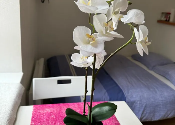 Apartment Studio, Hyper Centre